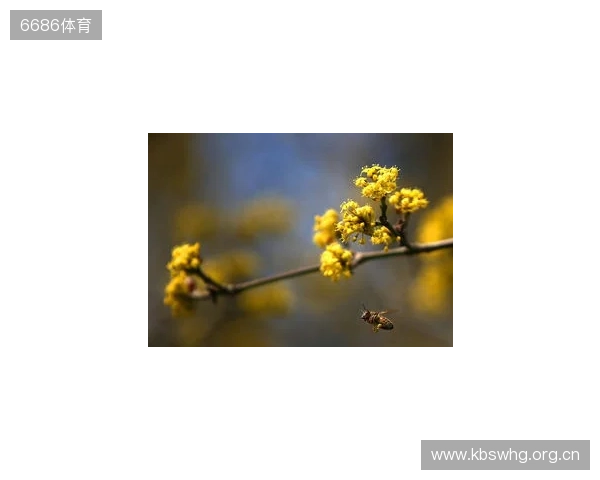 布达佩斯Major第一阶段：战舰轰鸣！FaZe 2-1 RED Canids